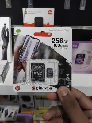 256GB Micro SD Memory Card