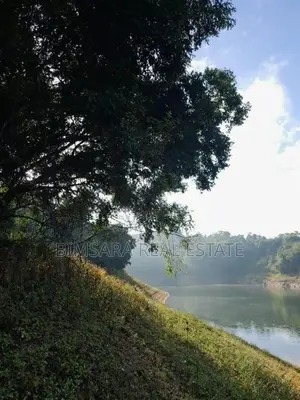 40P Land Overlooking the Victoria Reservoir in Teldeniya (SL 14432)
