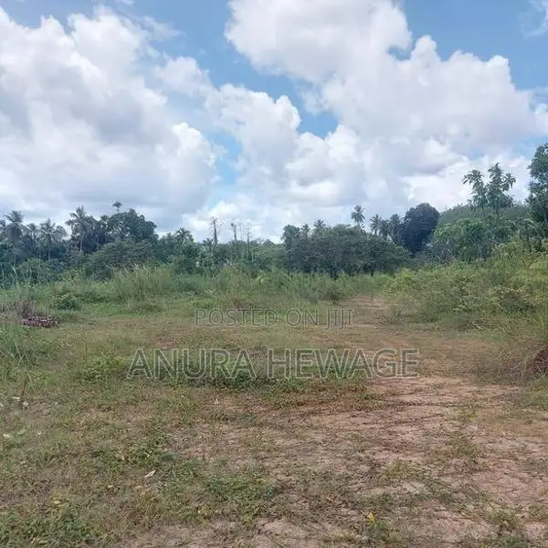 බේරුකැටිය, මිල්ලෑව ඉඩමක් විකිණීමට (ID: BER01S)