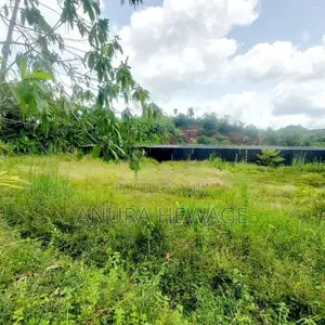 බේරුකැටිය, මිල්ලෑව ඉඩමක් විකිණීමට (ID: BER01S)