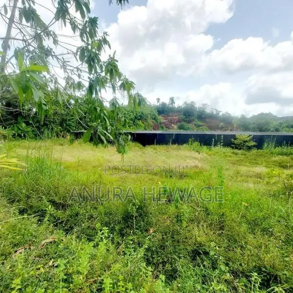 බේරුකැටිය, මිල්ලෑව ඉඩමක් විකිණීමට (ID: BER01S)