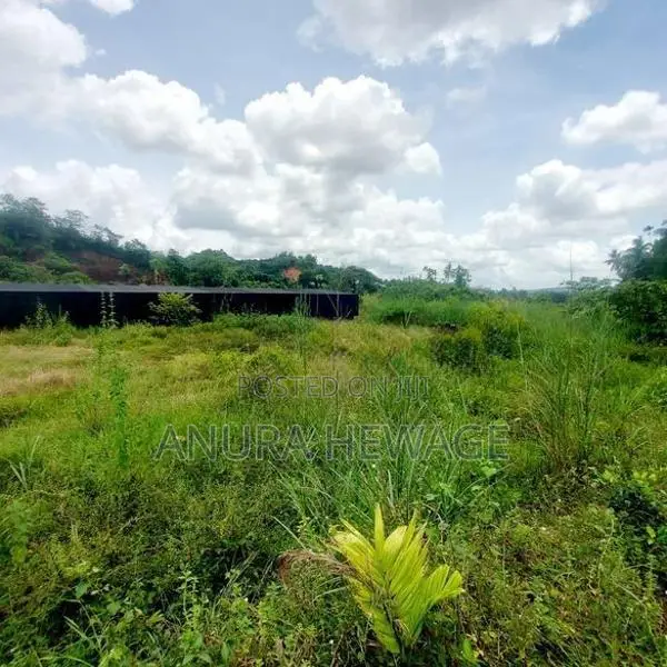 Land for Sale Beruketiya Millewa ( ID : BER01 )