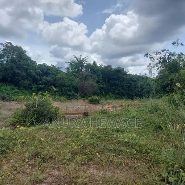 බේරුකැටිය, මිල්ලෑව ඉඩමක් විකිණීමට (ID: BER01S)