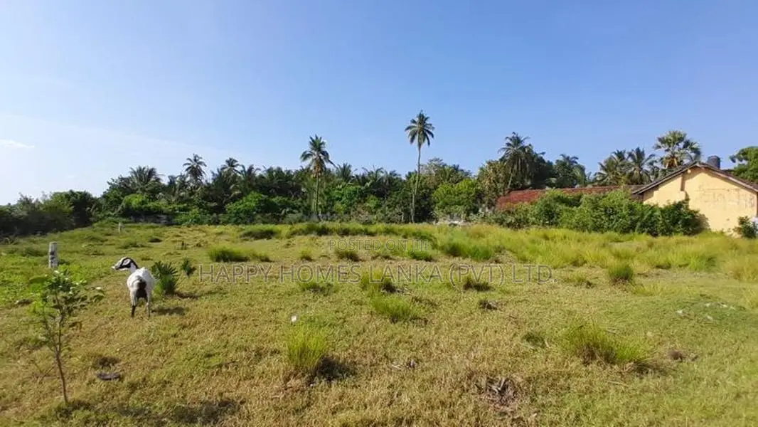HHL1031 - Lake View Land for Sale in Arayampathy