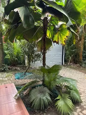 House with Land for Sale Wellampitiya