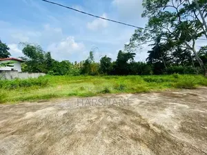 15 Perches Superb Land facing Beautiful Paddy Field, Katunayake