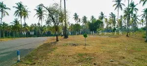 Land In Diwulapitiya