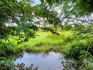 15 Perches Superb Land facing Beautiful Paddy Field, Katunayake