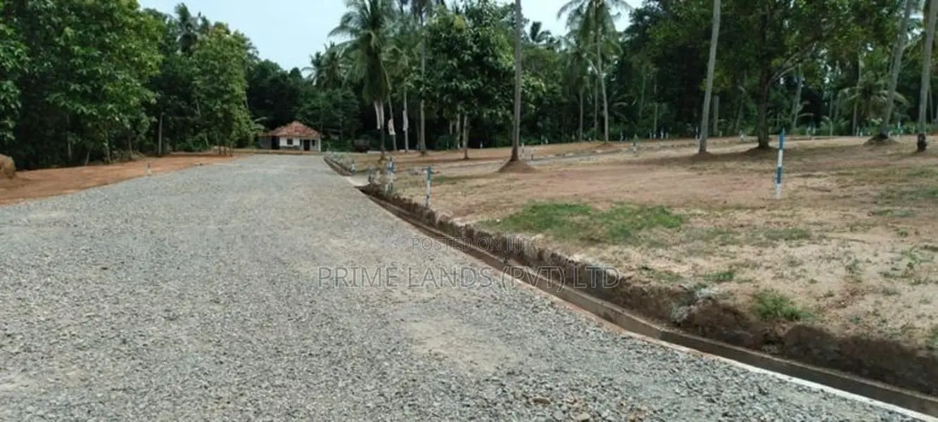 Land In Diwulapitiya