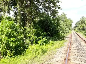 Matara : 120P Perches Commercial Land for Sale in Talpe