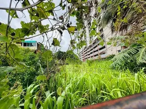 (IP306) 12.4P Bare Land Sale at Colombo 08