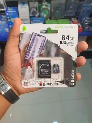 64GB SD Card