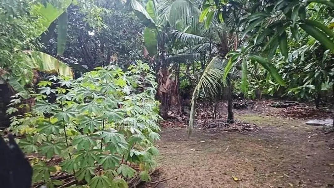 Land for Sale in Nawala