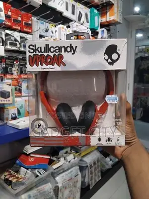 Skull Candy Wired Headphone
