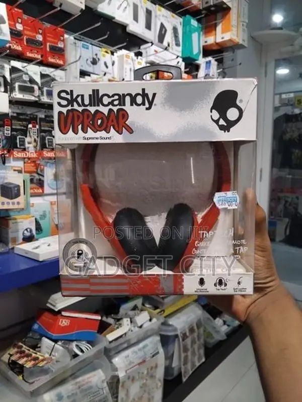 Skull Candy Wired Headphone