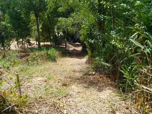 Bandarawela : 70 Perches Prime land for Sale near Sen Thomas collage