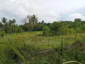 88 Perch Land Katunayaka Adiambalama