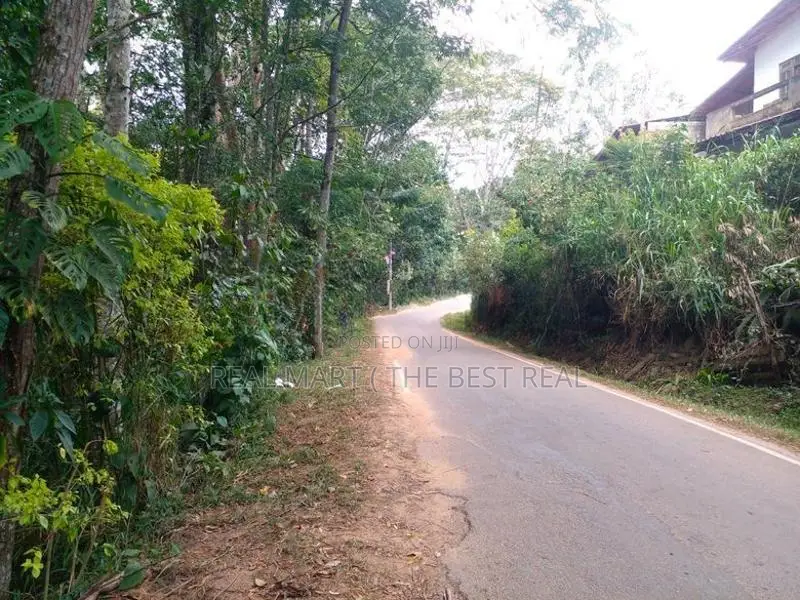 Bandarawela : 70 Perches Prime land for Sale near Sen Thomas collage