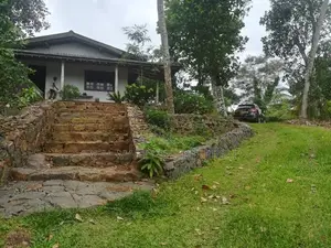 Galle : 6 Acer Tea And Cinnamon Estate for Sale at Gonamulla