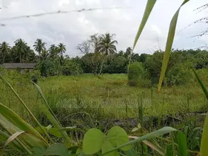 88 Perch Land Katunayaka Adiambalama