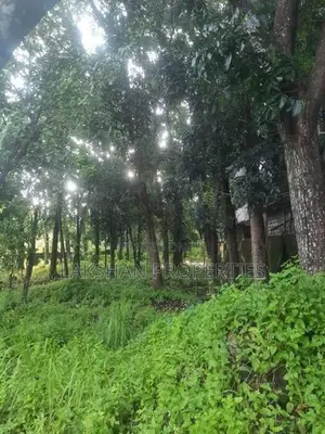 Land For Sale In Bellanvila