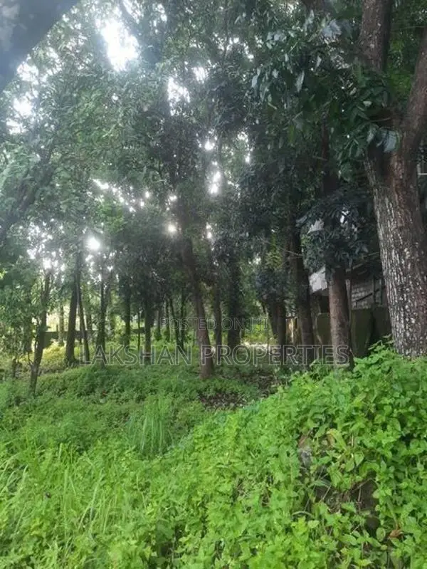 Land For Sale In Bellanvila