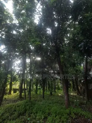 Land For Sale In Bellanvila