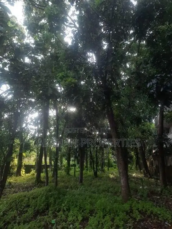 Land For Sale In Bellanvila