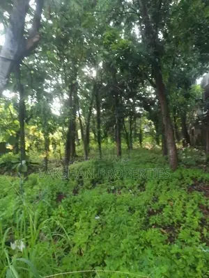 Land For Sale In Bellanvila
