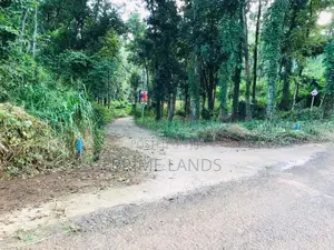 අලව්ව ප්‍රදන පාරට ලගින්ම ඉඩමක්