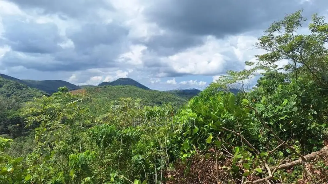 800P Commercial Land with House Facing Ingiriya - Ratnapura Main Road