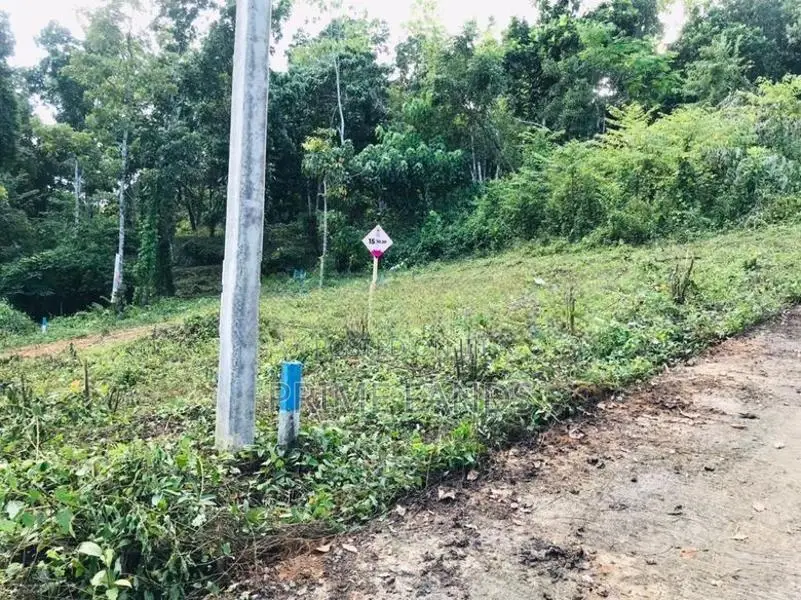අලව්ව ප්‍රදන පාරට ලගින්ම ඉඩමක්