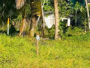 7P Superb Land at Gothatuwa, Close to Rajagiriya & Dematagoda