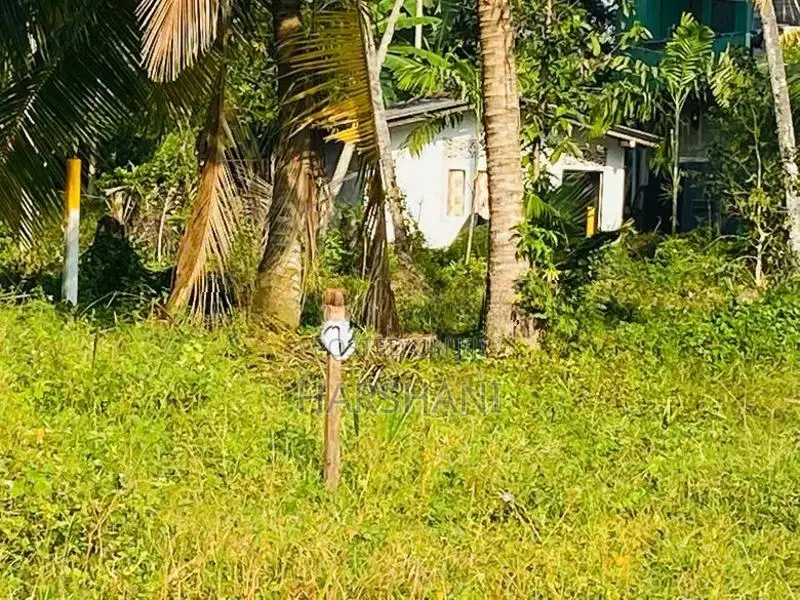 7P Superb Land at Gothatuwa, Close to Rajagiriya & Dematagoda
