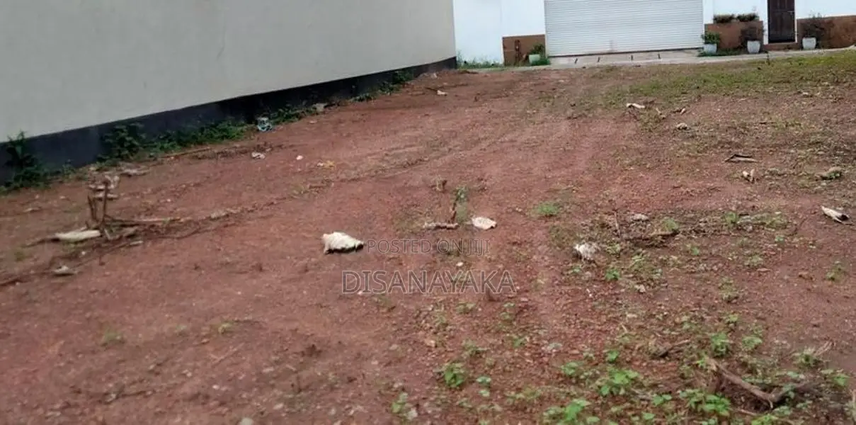 Super Land for Sale pitakotte DS845