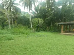 Land for Sale in Kandy Gurudeniya.