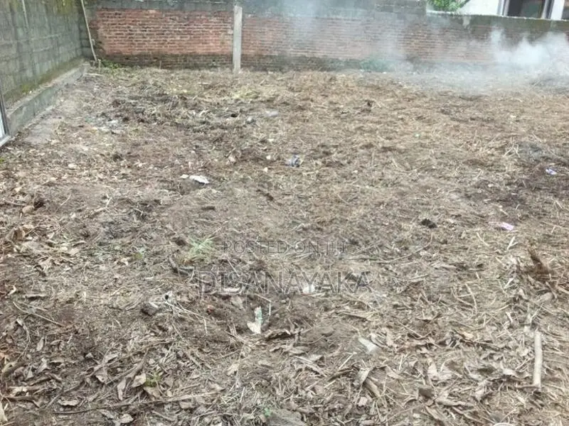 Land for Sale Colombo 5 DS1925