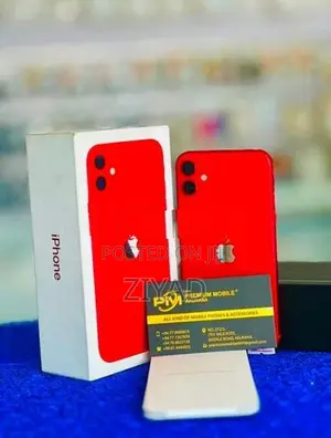 Apple iPhone 11 256GB (Used)