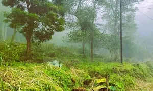 27.1P Land in the Misty Mountains of Haputale (SL 14478)