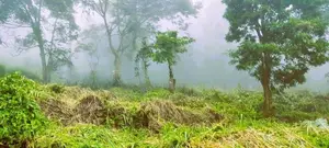27.1P Land in the Misty Mountains of Haputale (SL 14478)