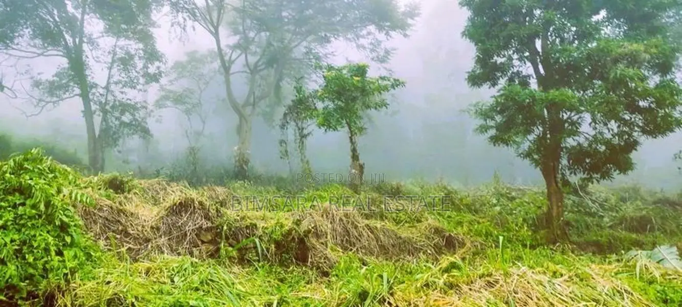 23P Land in the Misty Mountains of Haputale (SL 14475)