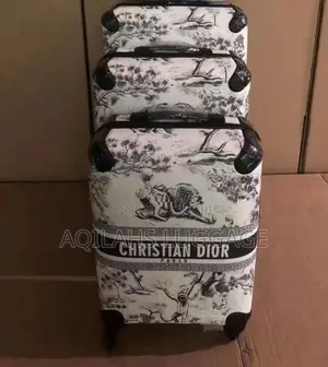 Christion Dior Luggage Bags