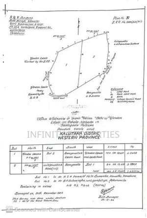 19 Acre Land Sale at Nebada Kalutara
