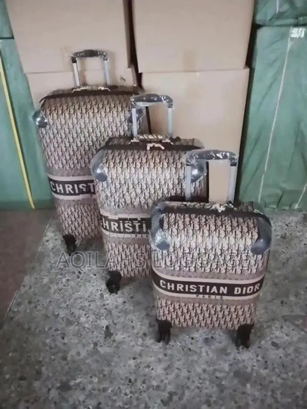 Christion Dior Luggage Bags