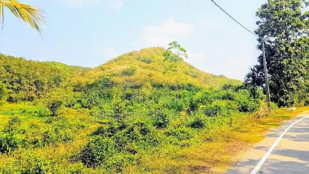 19 Acre Land Sale at Nebada Kalutara