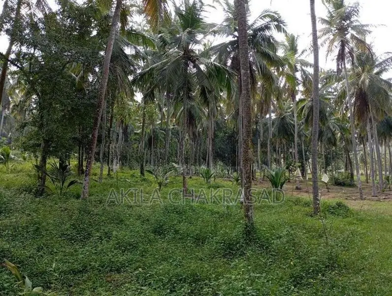 8 Acars Coconut Land Katunayaka Negombo Dagonna