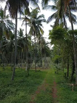 8 Acars Coconut Land Katunayaka Negombo Dagonna