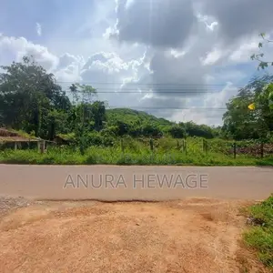 දොඩන්ගොඩ අධිවේගී පිවිසුමට ආසන්නව ඉඩමක් විකිණීමට ඇත (ID: WA44S)