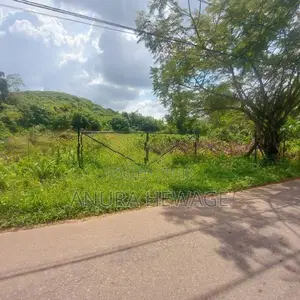 දොඩන්ගොඩ අධිවේගී පිවිසුමට ආසන්නව ඉඩමක් විකිණීමට ඇත (ID: WA44S)