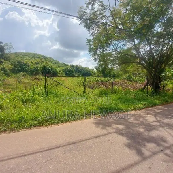 දොඩන්ගොඩ අධිවේගී පිවිසුමට ආසන්නව ඉඩමක් විකිණීමට ඇත (ID: WA44S)